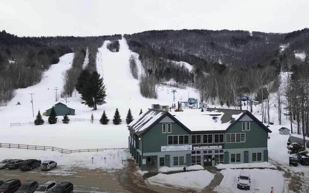 A mountain with white ski trails and green ski lodge