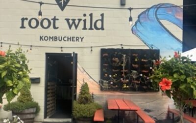 From Kombucha to Community: Discover the Magic of Root Wild Kombuchery