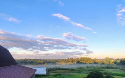 A Slice of Peace at Orchard Ridge Farm